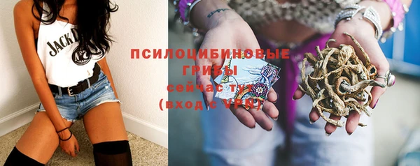МДПВ Абдулино